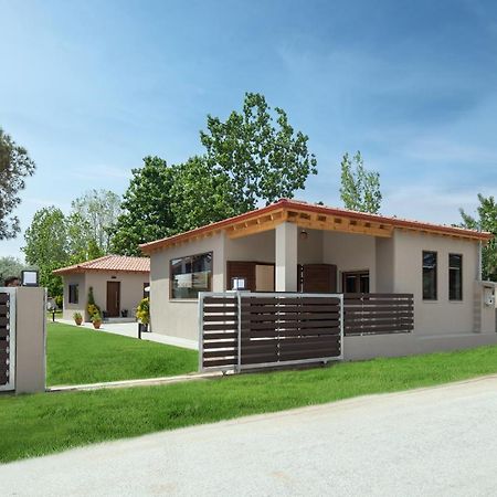 Villa Athos View Paralia Sikias Exterior foto