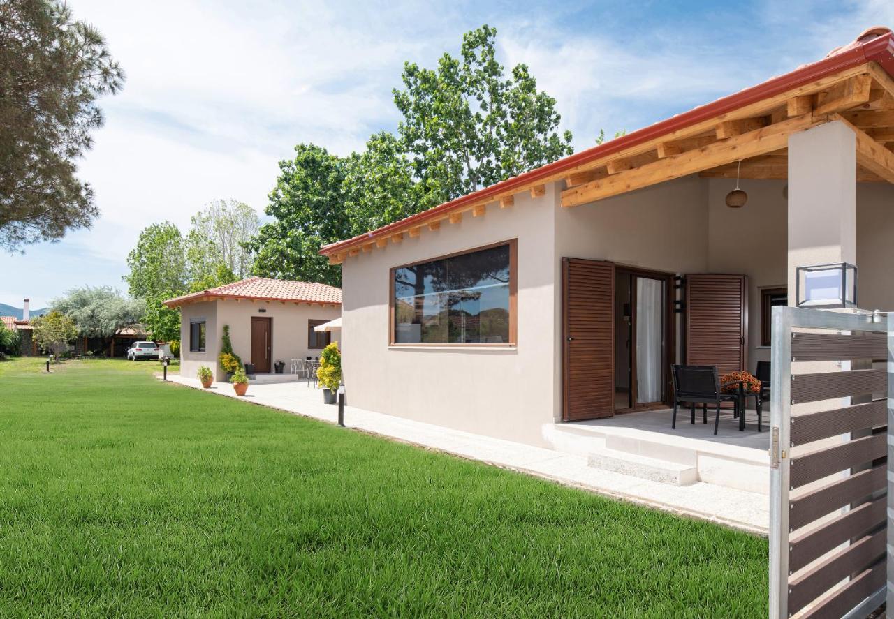 Villa Athos View Paralia Sikias Exterior foto