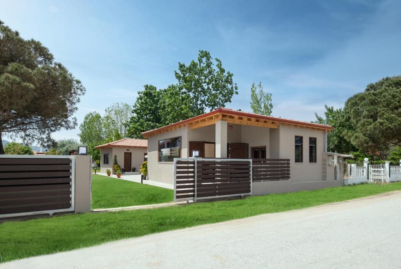 Villa Athos View Paralia Sikias Exterior foto